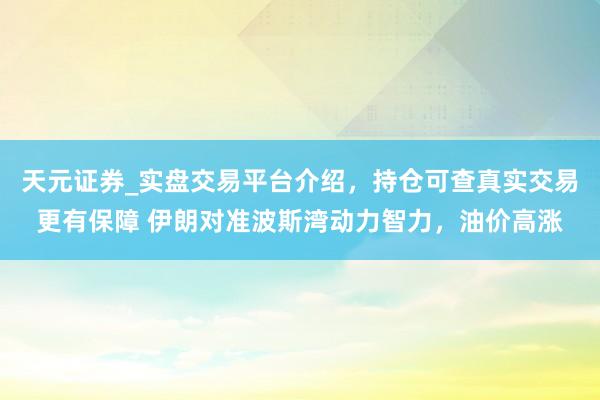 天元证券_实盘交易平台介绍，持仓可查真实交易更有保障 伊朗对准波斯湾动力智力，油价高涨
